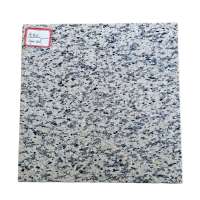 Polished Natural Stone Tiger Red Granite Tile